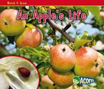 An Apple's Life (Watch It Grow)