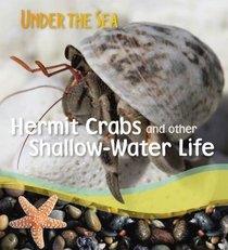 Hermit Crabs and other Shallow-Water Life (Under the Sea)