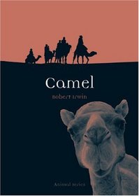 Camel (Reaktion Books - Animal)