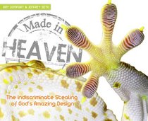 Made in Heaven: A Visual Journey of God's Design and Why Man Copies It