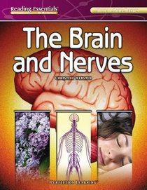 Brain And Nerves (Reading Essentials in Science - Life Science)