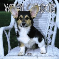 Welsh Corgis 2005 Mini Wall Calendar