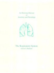 An Illustrated Review of the Respiratory System (Anatomy  Physiology)