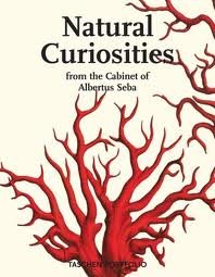 Natural Curiosities 14 Framable Prints From the Cabinet of Albertus Seba