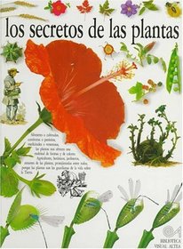 Los Secretos De Las Plantas/the Secrets of Plants (Eyewitness Series in Spanish) (Spanish Edition)