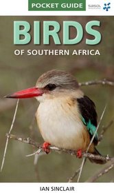 Birds of Southern Africa Pocket Guide (Pocket Guide Series)