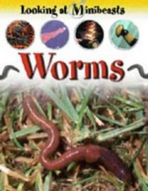 Worms (Looking at Minibeasts)