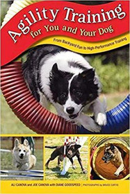 Agility Training for you and your Dog from backyard fun to high-performance training