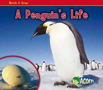 A Penguins Life (Watch It Grow)