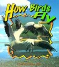 How Birds Fly (Birds Up Close)