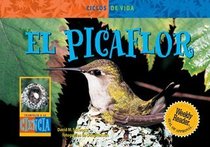 EL PICAFLOR /HUMMINGBIRD (Life Cycles) (Spanish Edition)