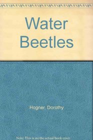 Water Beetles