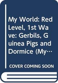 My World: Red Level, 1st Wave: Gerbils, Guinea Pigs and Dormice (My world - red level)