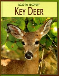 Key Deer (Road to Recovery)