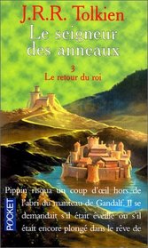 Seigneur Des Anneaux Tome 3 (Fiction, poetry & drama) (French Edition) (Vol 3)