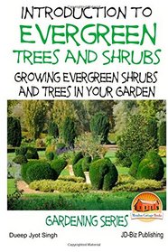 Introduction to Evergreen Trees and Shrubs - Growing Evergreen Shrubs and Trees in Your Garden