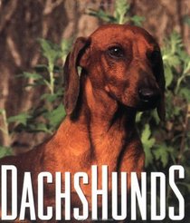 Dachshunds (Little Books)