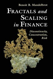 Fractals and Scaling In Finance: Discontinuity, Concentration, Risk