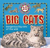 10 Things You Should Know About Big Cats (10 Things You Should Know)