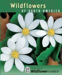 Wildflowers of North America Knowledge Cards Deck