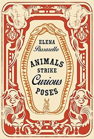 Animals Strike Curious Poses