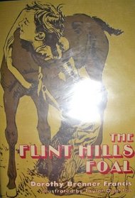 The Flint Hills foal