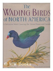 Wading Birds Of North America (North of Mexico)