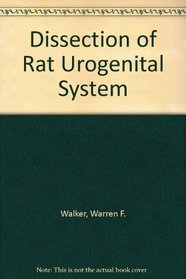 Dissection of Rat Urogenital System