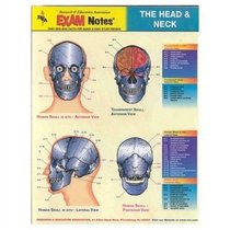 Head & Neck Anatomy EXAM Notes