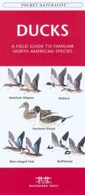 Ducks: A Field Guide to Familiar North American Species (Pocket Naturalist - Waterford Press)