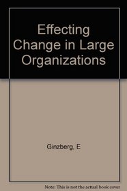 Effecting Change in Large Organizations