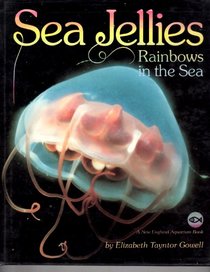 Sea Jellies: Rainbows in the Sea