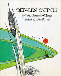 Between Cattails