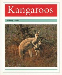 Kangaroos (PM Animal Facts: Animals in the Wild)