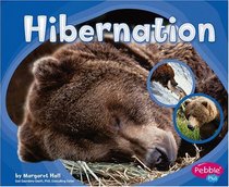 Hibernation (Pebble Plus)