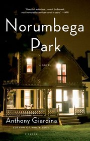 Norumbega Park: A Novel