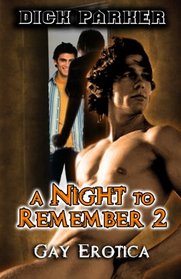 A Night to Remember 2: Gay Erotica