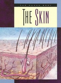 The Skin (The Human Body)