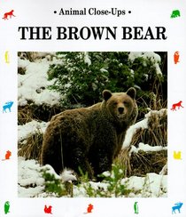 The Brown Bear: Giant of the Mountains (Animal Close-Ups)