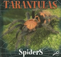 Tarantulas (Spiders Discovery Library)