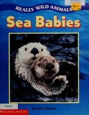Sea Babies (Really Wild Animals)