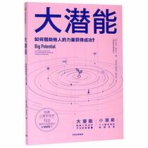 Big Potential: How Transforming the Pursuit of Success Raises Our Achievement, Happiness, and Well-Being (Chinese Edition)
