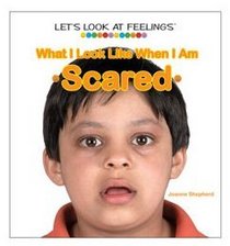 What I Look Like When I Am Scared (Let's Look at Feelings)