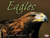 Eagles (Animal Predators)