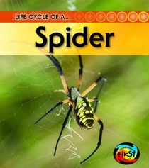 Spider (2nd Edition) (Heinemann First Library)