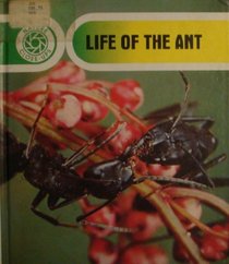 Life of the Ant (Nature Close-Ups Series)
