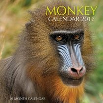 Monkey Calendar 2017: 16 Month Calendar