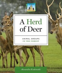 A Herd of Deer: Animal Groups in the Forest (Sandcastle Animal Groups)