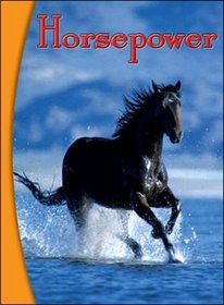 Horsepower - Infosteps (B18)