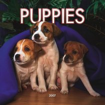 Puppies 2007 Mini Calendar